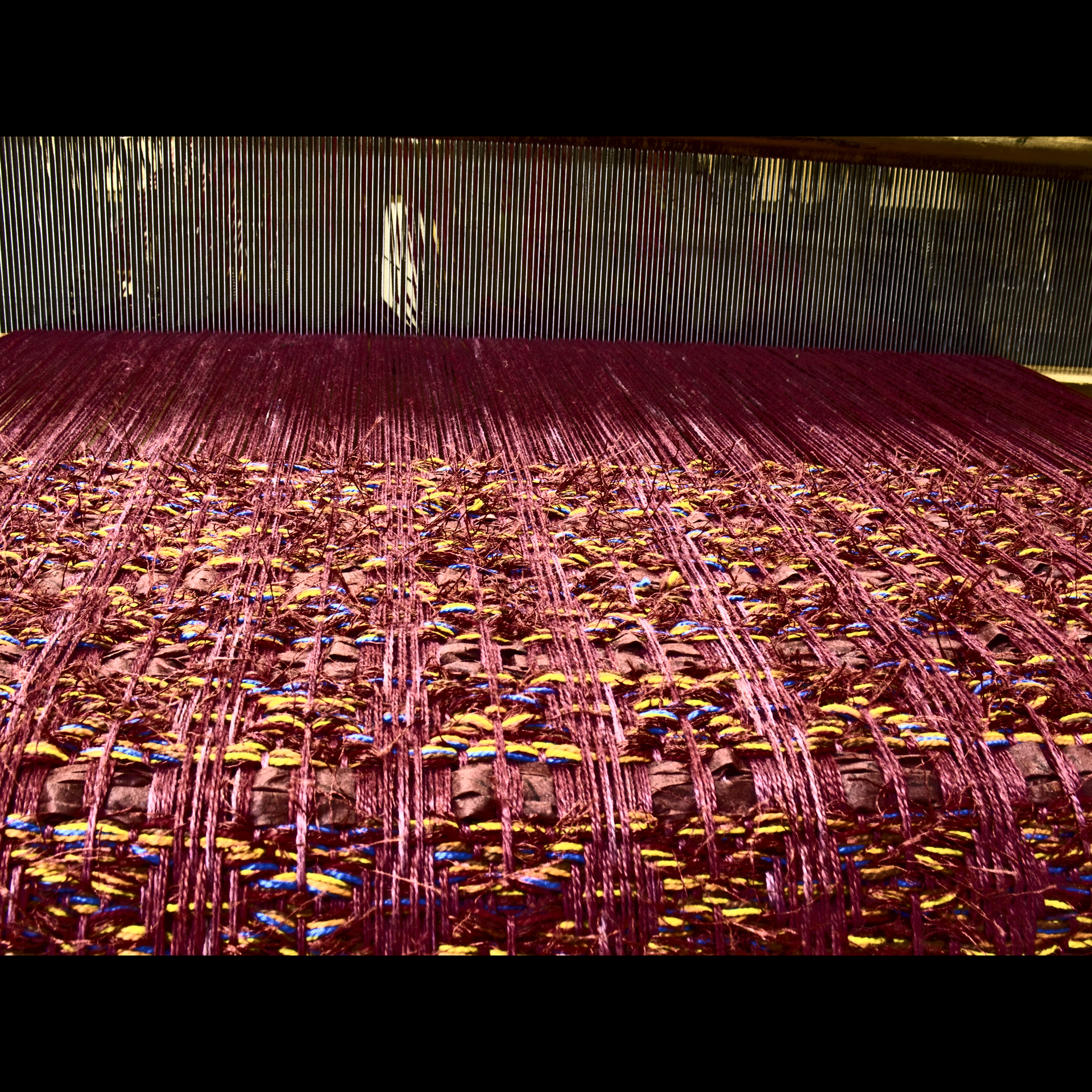 Sandy Fisher Woven